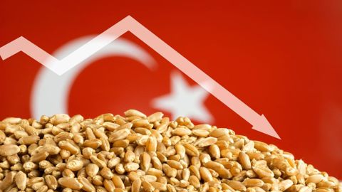 La Turquie est le cinquième importateur mondial de blé. L'arrêt temporaire de ses importations se traduit par une baisse de la demande internationale, qui pèse sur les prix.