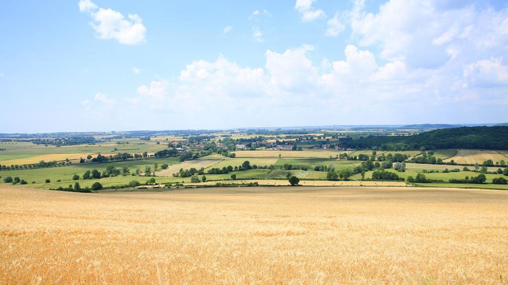 Champ et parcelles au loin