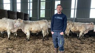 Pierrick Eclache, éleveur de charolaises à Gelles (Puy-de-Dôme), utilise le bois de l'exploitation pour la litière de ses animaux. Pierrick Eclache, éleveur de charolaises à Gelles (Puy-de-Dôme), utilise le bois de l'exploitation pour la litière de ses animaux.