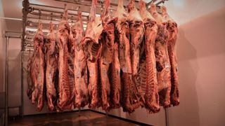 La Corée du Sud est l'un des plus grands marchés d'importation de viande bovine au monde. La Corée du Sud est l'un des plus grands marchés d'importation de viande bovine au monde.
