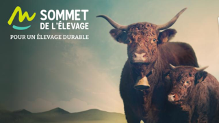 L'élevage à l'herbe à l'honneur au Sommet de l'élevage 2024. L'élevage à l'herbe à l'honneur au Sommet de l'élevage 2024.