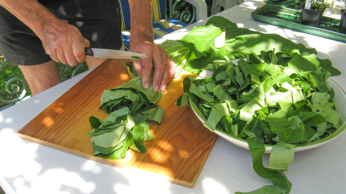 Que faire des feuilles de rhubarbe