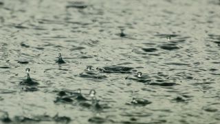 Météo-France annonce de nouvelles averses avec quelques coups de tonnerre en sur le territoire à partir de ce vendredi 14 juin 2024. Météo-France annonce de nouvelles averses avec quelques coups de tonnerre en sur le territoire à partir de ce vendredi 14 juin 2024.