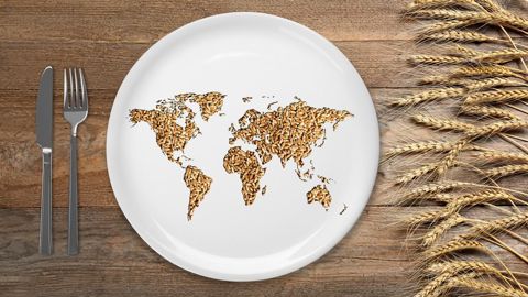 « Ce qu’il y a d’intéressant avec les céréales, c’est qu’elles sont emblématiques de la géopolitique de l’agriculture et de l’alimentation », note le chercheur Sébastien Abis.