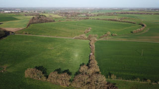 Le HCC observe des « avancées » sur certains sujets agricoles, comme l'impulsion donnée au développement des haies. Le HCC observe des « avancées » sur certains sujets agricoles, comme l'impulsion donnée au développement des haies.