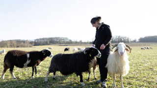 La foncière agricole et solidaire Feve lance un appel à projets réservé aux agricultrices pour les encourager à s'installer. La foncière agricole et solidaire Feve lance un appel à projets réservé aux agricultrices pour les encourager à s'installer.