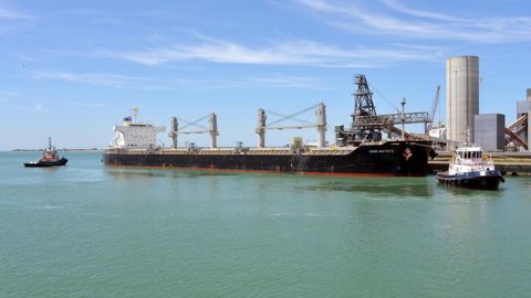 Au port de La Rochelle, où se tenait vendredi 21 juin la 9e Bourse maritime agricole, les perspectives pour la campagne 2024-2025 « ne sont pas bonnes », déplorent les opérateurs.