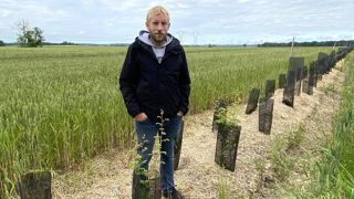 Marc Allard et l'association Agrof'île ont planté 6 000 végétaux en hiver 2023.