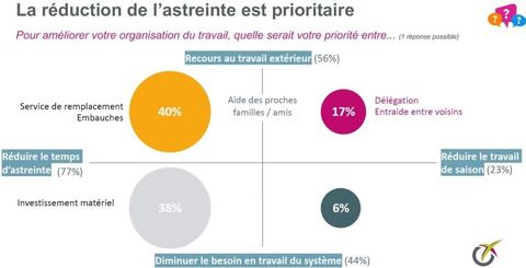 Astreinte et pics d activité en élevage bovin lait