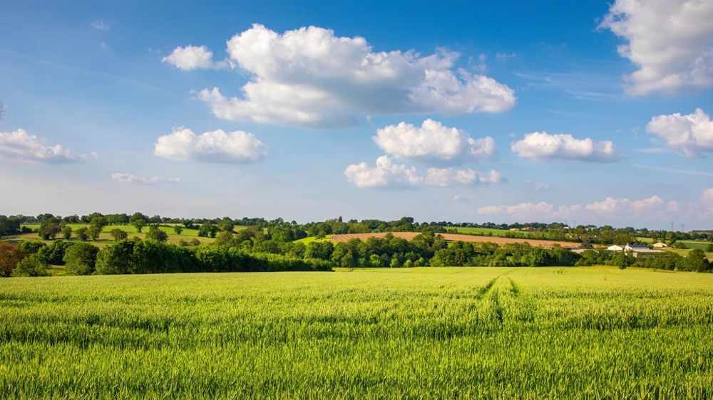 Paysage agricole