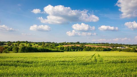 Les faibles loyers du fermage et la forte taxation des terres en France constituent une exception en Europe.