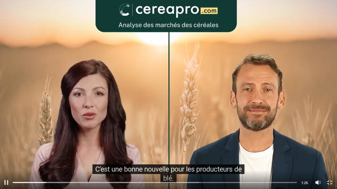 Cereapro innove en testant la génération de vidéo par IA.