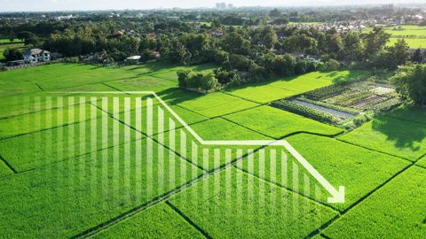 La valeur de la production végétale a fortement diminué en 2023. La valeur de la production végétale a fortement diminué en 2023.