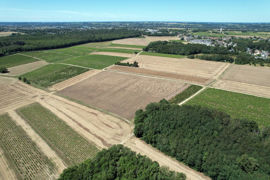 Il est possible de transformer un groupement foncier agricole en groupement foncier rural. Il est possible de transformer un groupement foncier agricole en groupement foncier rural.