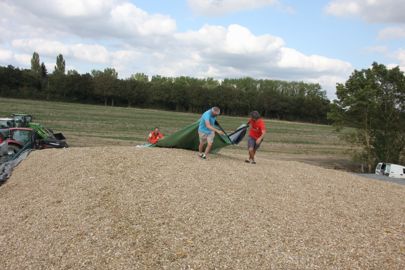 pose d'un bâche sur du maïs ensilage