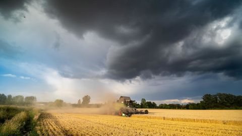 La production 2024 de blé tendre est attendue en forte baisse : 29,7 Mt selon Agreste, moins selon d'autres experts. La production 2024 de blé tendre est attendue en forte baisse : 29,7 Mt selon Agreste, moins selon d'autres experts.
