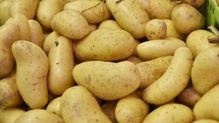 La pomme de terre sera le légume phare des assiettes des Français durant les Jeux olympiques et paralympiques de 2024. La pomme de terre sera le légume phare des assiettes des Français durant les Jeux olympiques et paralympiques de 2024.