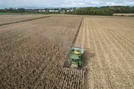 Lorsque le fermier a atteint l’âge de la retraite à l’expiration du bail initial, chacun des cocontractants peut refuser le renouvellement du bail. Lorsque le fermier a atteint l’âge de la retraite à l’expiration du bail initial, chacun des cocontractants peut refuser le renouvellement du bail.