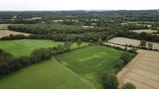 En 2023,la Bretagne, le Grand Est, la Normandie et les Pays de la Loire ont vu leurs surfaces de prairies permanentes diminuer au-delà du seuil limite défini dans la BCAE 1. En 2023,la Bretagne, le Grand Est, la Normandie et les Pays de la Loire ont vu leurs surfaces de prairies permanentes diminuer au-delà du seuil limite défini dans la BCAE 1.