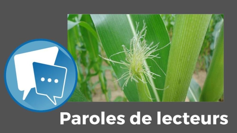 Paroles de lecteurs mais fourrage