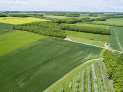 Celui qui se prétend fermier doit rapporter la preuve de l’existence d’un bail rural pour pouvoir préempter. Celui qui se prétend fermier doit rapporter la preuve de l’existence d’un bail rural pour pouvoir préempter.