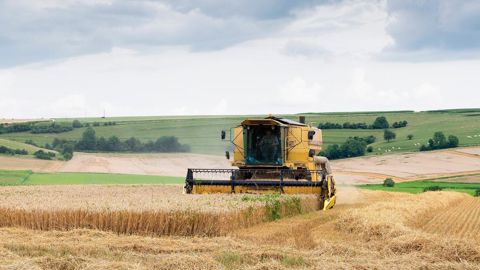 88 % de la moisson de blé tendre était achevée en France au 5 août, selon le dernier rapport Céré'Obs de FranceAgriMer. 88 % de la moisson de blé tendre était achevée en France au 5 août, selon le dernier rapport Céré'Obs de FranceAgriMer.