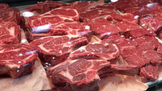 La part de viande importée dans le bilan consommable en France reste stable à 25 % sur les cinq premiers mois de 2024. La part de viande importée dans le bilan consommable en France reste stable à 25 % sur les cinq premiers mois de 2024.
