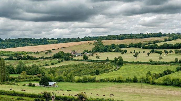 La pousse de l'herbe est qualifiée d'exceptionnelle par Agreste cette année.