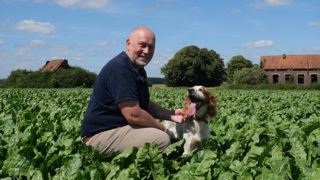 Jean-Claude Samain a progressivement supprimé le labour sur son exploitation, où il produit notamment des cultures industrielles.