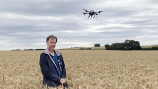 Alain Defresne teste le semis de couverts par drone une semaine avant la moisson.