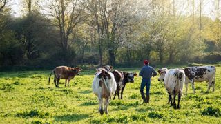 Jeunes éleveurs/éleveuses et futur(e)s installé(e)s, n'hésitez pas à témoigner sur votre parcours, commentez l'article ! Jeunes éleveurs/éleveuses et futur(e)s installé(e)s, n'hésitez pas à témoigner sur votre parcours, commentez l'article !