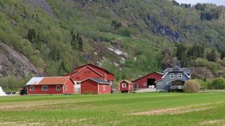 En Norvège, des prix cibles sont établis pour la viande de porcs, les œufs, les fruits et légumes. En Norvège, des prix cibles sont établis pour la viande de porcs, les œufs, les fruits et légumes.
