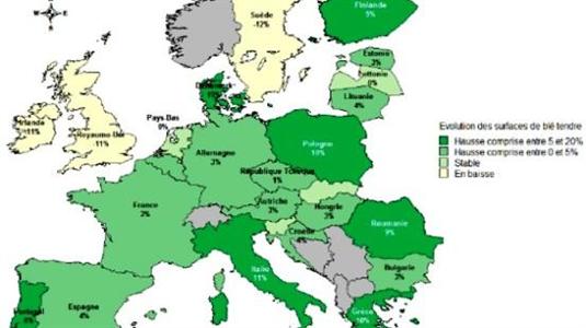 Les surfaces de blé d'hiver implantées en Europe.