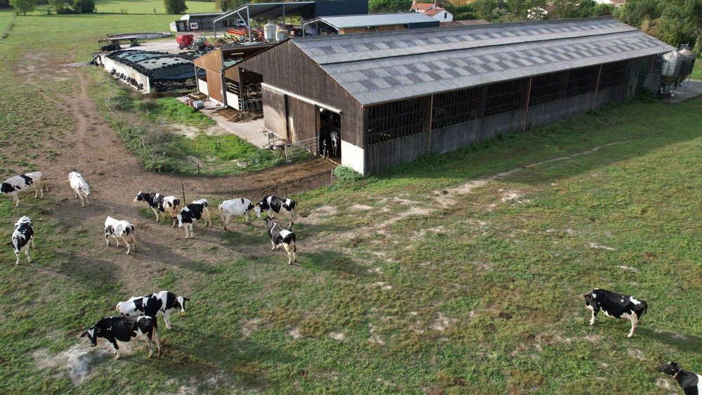 vue aérienne d'une exploitation laitière de prim'holsteins