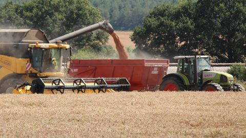 Tandis que la France a vécu sa pire récolte de blé depuis 40 ans, la production mondiale de céréales est annoncée record, ce qui oriente les prix à la baisse.
Tandis que la France a vécu sa pire récolte de blé depuis 40 ans, la production mondiale de céréales est annoncée record, ce qui oriente les prix à la baisse.