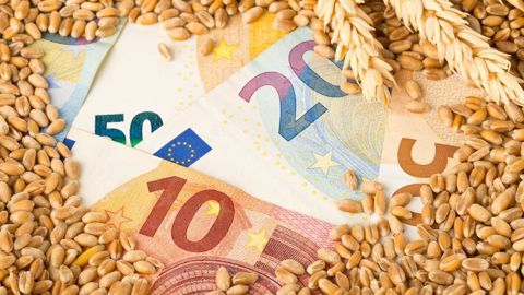 1 066 agriculteurs, parmi les 2 111 répondants à notre sondage, ont vendu plus de la moitié de leur récolte de blé tendre 2024. 1 066 agriculteurs, parmi les 2 111 répondants à notre sondage, ont vendu plus de la moitié de leur récolte de blé tendre 2024.