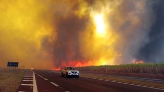 Les incendies au Brésil seraient criminels et organisés, selon des scientifiques. Les incendies au Brésil seraient criminels et organisés, selon des scientifiques.