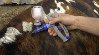 Le ministre de l'Agriculture, Marc Fesneau, a annoncé la commande par l'État et leur mise à disposition gratuite de deux millions de doses de vaccin contre la MHE. (Photo d'illustration) Le ministre de l'Agriculture, Marc Fesneau, a annoncé la commande par l'État et leur mise à disposition gratuite de deux millions de doses de vaccin contre la MHE. (Photo d'illustration)