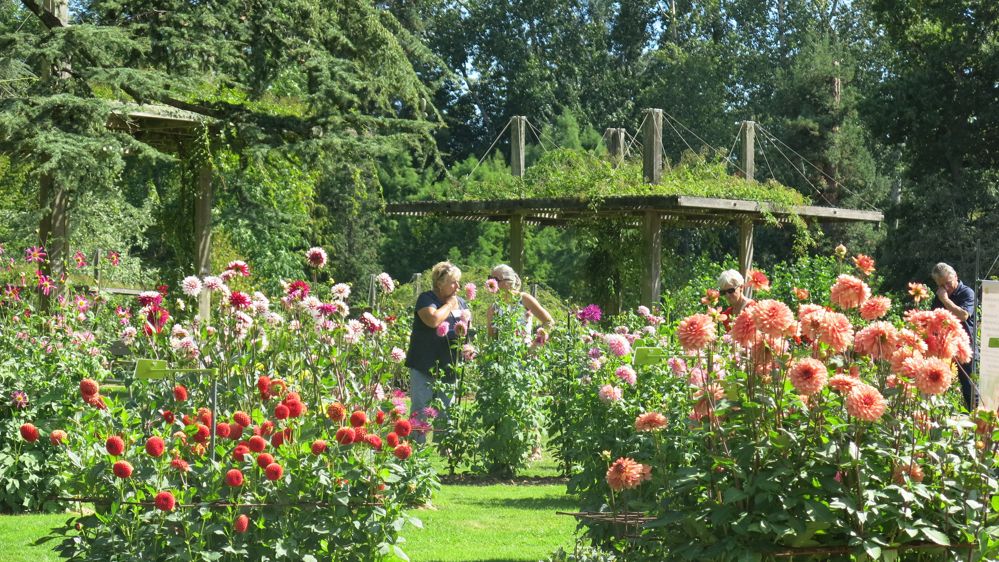 Le parc Floral d'Orléans bénéficie, pour ses arrosages, d'un système de traitement des eaux provenant d'une station d’épuration. L'agglomération économise ainsi 100 000 m3 d’eau par an.