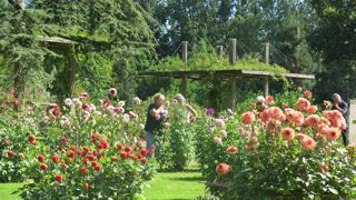 Le parc Floral d'Orléans bénéficie, pour ses arrosages, d'un système de traitement des eaux provenant d'une station d’épuration. L'agglomération économise ainsi 100 000 m3 d’eau par an.