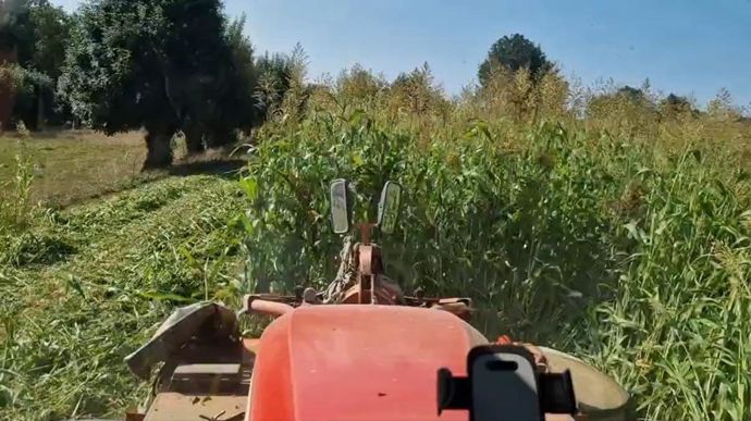 Maël Daniau mise sur la récolte en enrubanné, pour plus de facilité d'utilisation du fourrage.