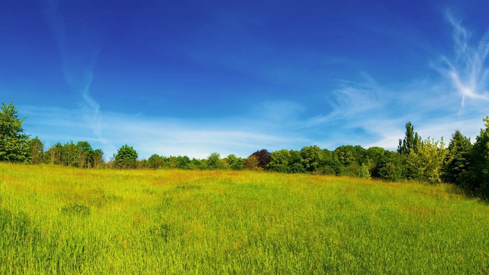 Prairie
