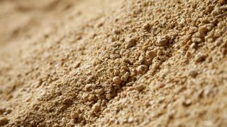 La capacité de trituration de soja par extraction mécanique est passée de 30 000 à 250 000 t/an entre 2013 et 2024 en France. La capacité de trituration de soja par extraction mécanique est passée de 30 000 à 250 000 t/an entre 2013 et 2024 en France.