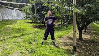 Dans la Meurthe-et-Moselle, Julien Marin a installé un filet géant qui isole ses cerisiers au-dessus et sur les côtés. Dans la Meurthe-et-Moselle, Julien Marin a installé un filet géant qui isole ses cerisiers au-dessus et sur les côtés.
