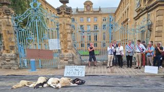 Cinq carcasses d'animaux morts de la FCO ont été déposées devant la de préfecture des Ardennes pour dévoiler le quotidien des éleveurs impuissants. Cinq carcasses d'animaux morts de la FCO ont été déposées devant la de préfecture des Ardennes pour dévoiler le quotidien des éleveurs impuissants.