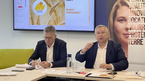 « Les trésoreries des céréaliers sont dans le rouge », ont alerté Philippe Heusèle, secrétaire général, et Eric Thirouin, président de l'AGPB, jeudi 5 septembre, à l'occasion de la conférence de presse du syndicat à Paris.