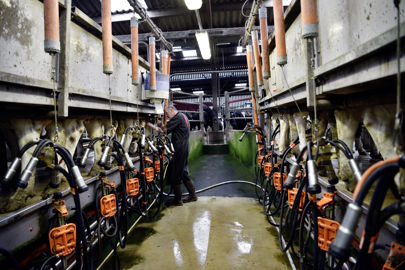 Salle de traite TPA 2x8