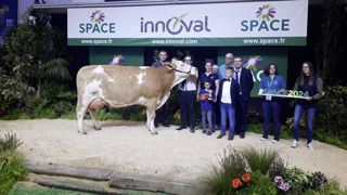 Precieuse remporte le concours de la race Simmental au Space 2024. Precieuse remporte le concours de la race Simmental au Space 2024.