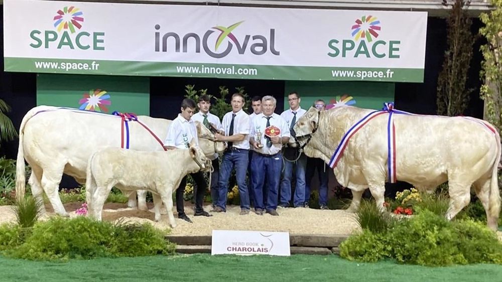Concours Charolais Space 2024