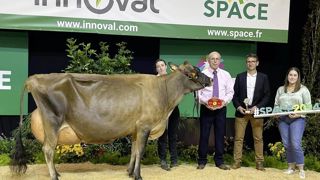 Jers'Hys Kayla élue grande championne du concours Jersiais au Space 2024. Jers'Hys Kayla élue grande championne du concours Jersiais au Space 2024.